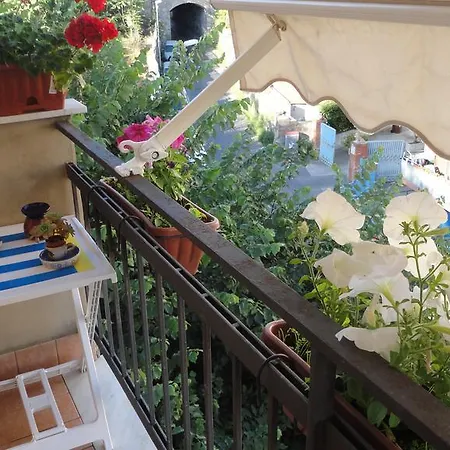 New Flat In The Heart Of